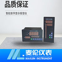 <b>智能數(shù)字顯示報(bào)警儀</b> <b>智能數(shù)字顯示報(bào)警儀</b>